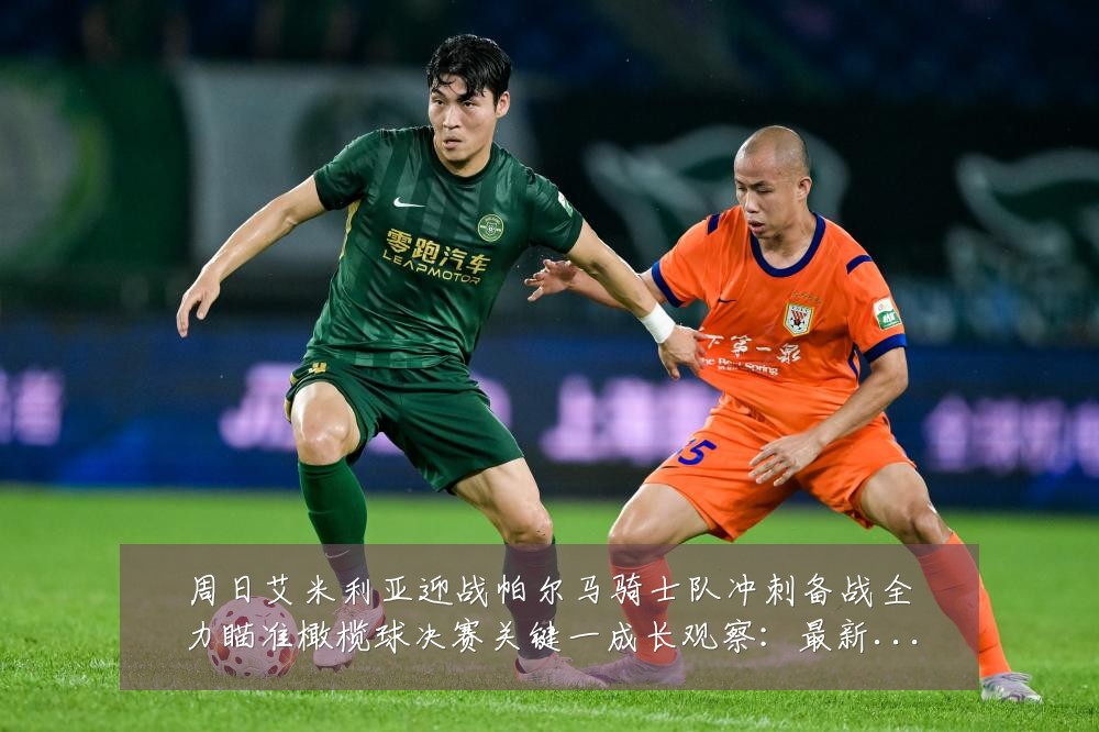 周日艾米利亚迎战帕尔马骑士队冲刺备战全力瞄准橄榄球决赛关键一成长观察：最新赛事动态与深度分析