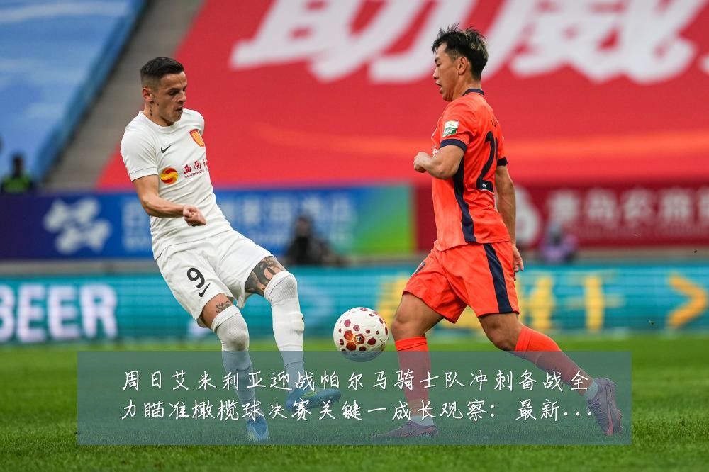 周日艾米利亚迎战帕尔马骑士队冲刺备战全力瞄准橄榄球决赛关键一成长观察：最新赛事动态与深度分析